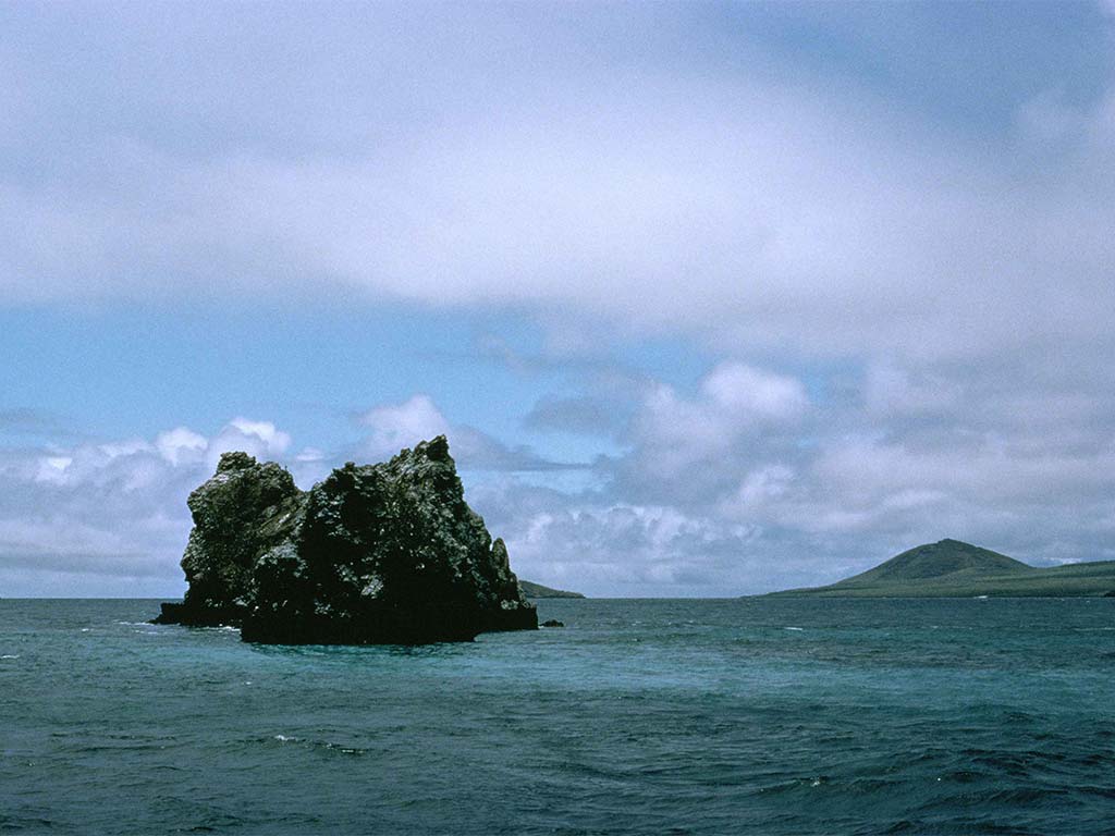 A Reef in Galapagos